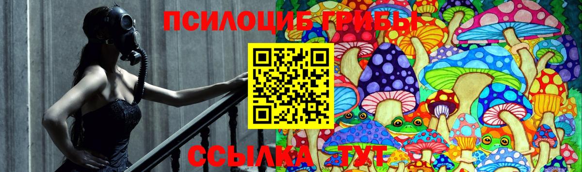 Домодедово  Псилоцибиновые грибы мухоморы  Вход с VPN 